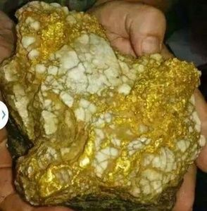 Meet your Posher, Randy